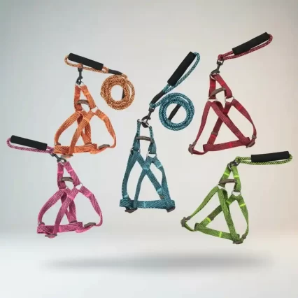 Kit de Paseo para Mascotas con Correa y Pechera